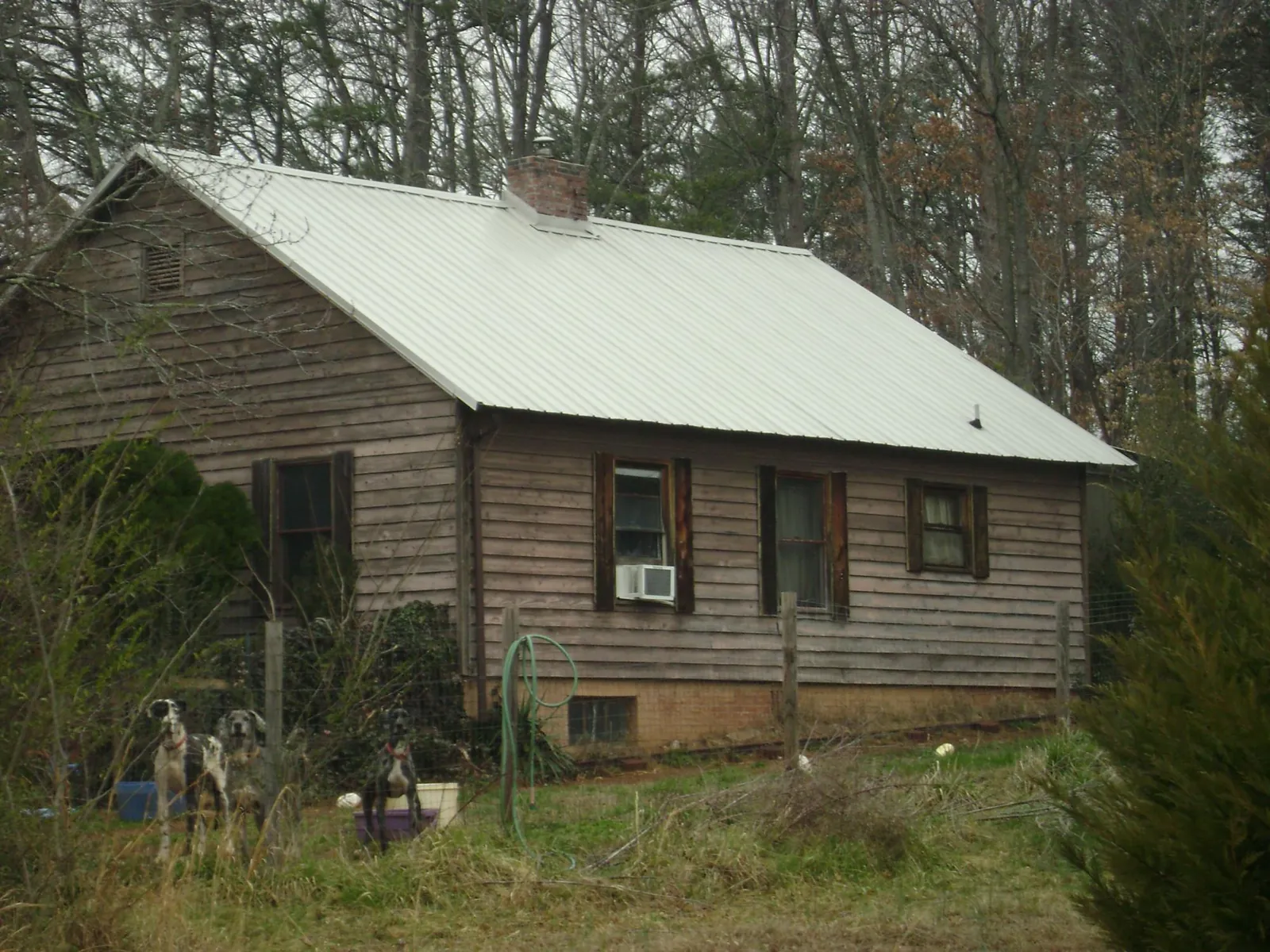 White metal roof on an old wood sided farmhouse in Alburnett